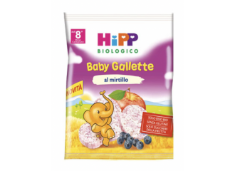 Hipp bio hipp bio baby gallette di riso al mirtillo 30 g