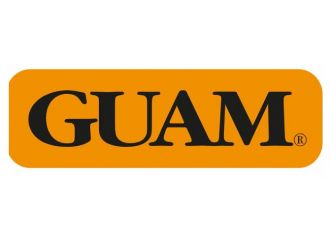 Guam leggings active s/m
